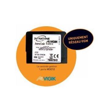 Antenne GSM déportée bloc EDGE  / Visio 3GV2 Intratone 12-0114