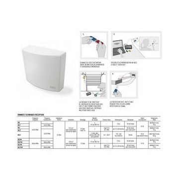 Récepteur 2 canaux précablé 868.46 Mhz sans émetteur incorporé NICE